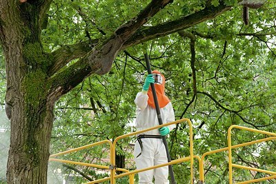 BUITEN BEELD Foto: 150257