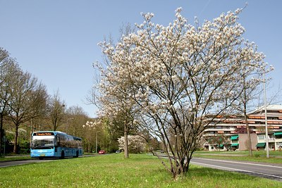 BUITEN BEELD Foto: 150276