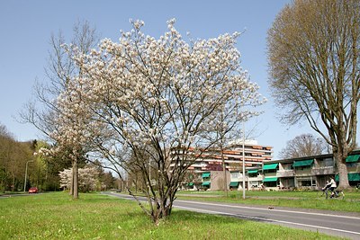 BUITEN BEELD Foto: 150277