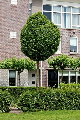 BUITEN BEELD Foto: 150348