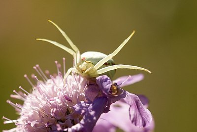 BUITEN BEELD Foto: 150359