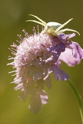 BUITEN BEELD Foto: 150363