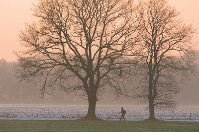 BUITEN BEELD Foto: 150379