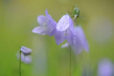 BUITEN BEELD Foto: 150419