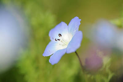 BUITEN BEELD Foto: 150424