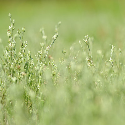 BUITEN BEELD Foto: 150427