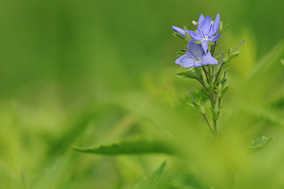 BUITEN BEELD Foto: 150431