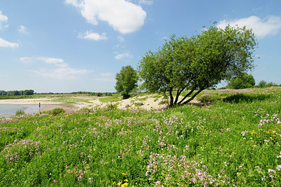 BUITEN BEELD Foto: 150435