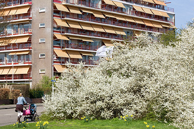 BUITEN BEELD Foto: 150439