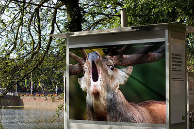 BUITEN BEELD Foto: 150452