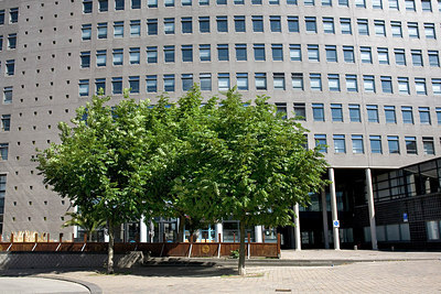 BUITEN BEELD Foto: 150455