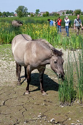 BUITEN BEELD Foto: 150564