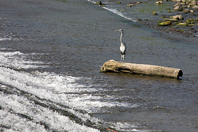 BUITEN BEELD Foto: 150628