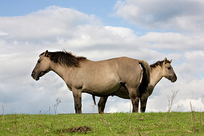 BUITEN BEELD Foto: 150638