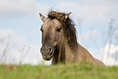 BUITEN BEELD Foto: 150639