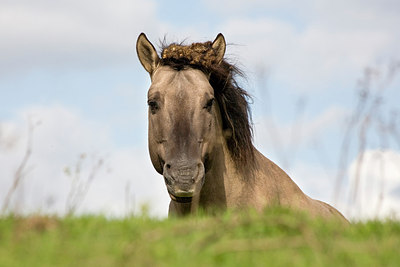 BUITEN BEELD Foto: 150640