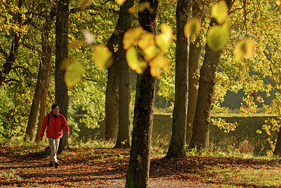 BUITEN BEELD Foto: 150679
