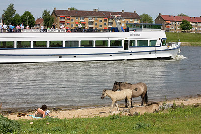 BUITEN BEELD Foto: 150769