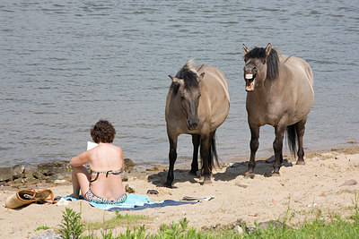 BUITEN BEELD Foto: 150773