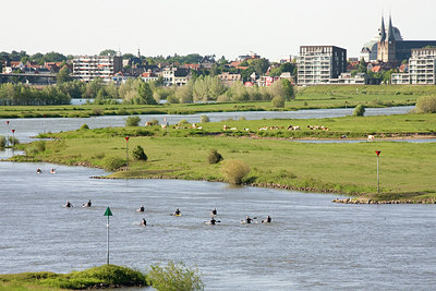 BUITEN BEELD Foto: 150779