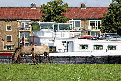 BUITEN BEELD Foto: 150781