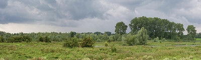 BUITEN BEELD Foto: 150782