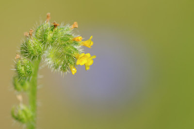 BUITEN BEELD Foto: 150820