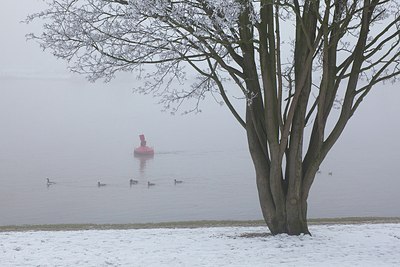 BUITEN BEELD Foto: 150836