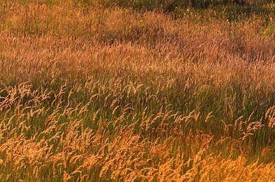 BUITEN BEELD Foto: 150879