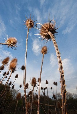 BUITEN BEELD Foto: 150887