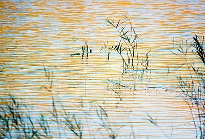 BUITEN BEELD Foto: 150918