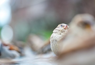BUITEN BEELD Foto: 150937