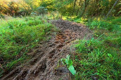 BUITEN BEELD Foto: 150950