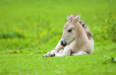 BUITEN BEELD Foto: 150958