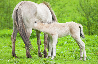 BUITEN BEELD Foto: 150959