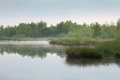 BUITEN BEELD Foto: 150968