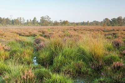 BUITEN BEELD Foto: 150973