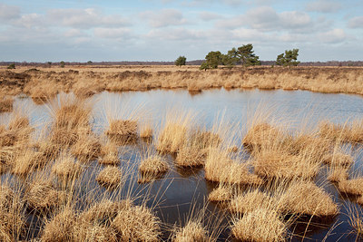 BUITEN BEELD Foto: 150976