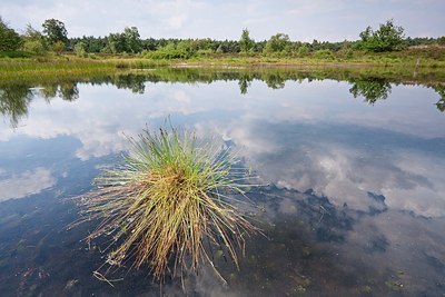 BUITEN BEELD Foto: 150996