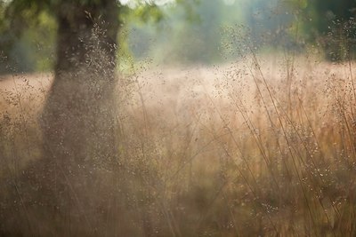 BUITEN BEELD Foto: 151018