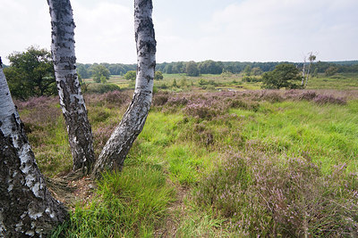 BUITEN BEELD Foto: 151033