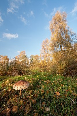 BUITEN BEELD Foto: 151050