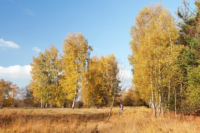 BUITEN BEELD Foto: 151053