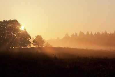 BUITEN BEELD Foto: 151056