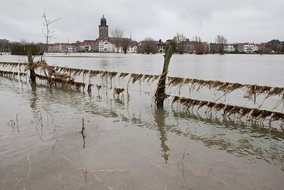 BUITEN BEELD Foto: 151059