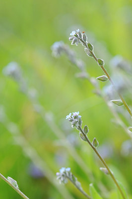 BUITEN BEELD Foto: 151127