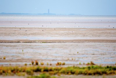 BUITEN BEELD Foto: 151212