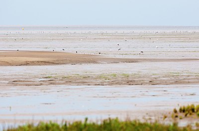 BUITEN BEELD Foto: 151215