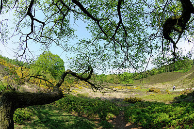 BUITEN BEELD Foto: 151355