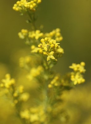 BUITEN BEELD Foto: 151458